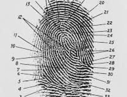 Defending a Criminal Case Using Forensic Experts
